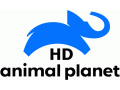 Логотип канала Animal Planet HD