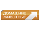 Логотип канала Домашние животные