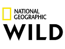 Логотип канала National Geographic Wild HD [IL]