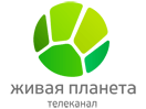 Логотип канала Живая планета